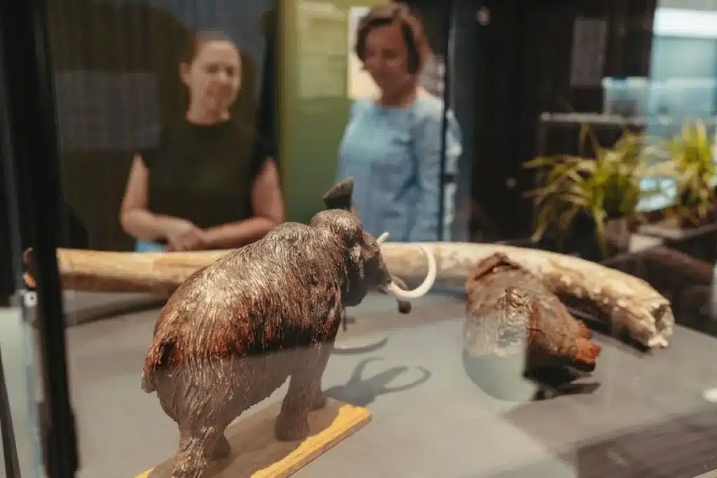 Doggerland in Zwin Natuur Park te Knokke-Heist