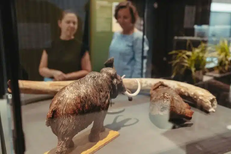 Doggerland in Zwin Natuur Park te Knokke-Heist