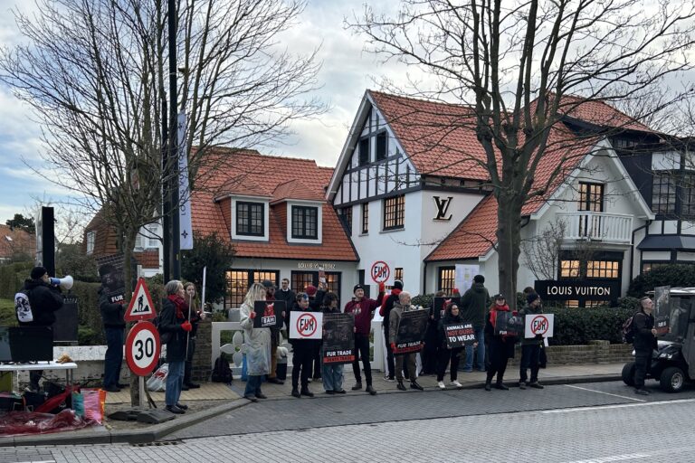 Anti-bontbeweging voert voor de derde keer actie aan Louis Vuitton-winkel in Knokke