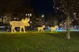 Winter in Knokke-Heist