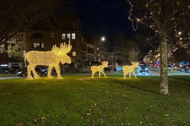 Winter in Knokke-Heist